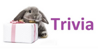 Trivia &mdash;  інтернет-магазин подарунків,прикрас та виробів з медичної сталі